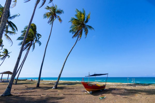 Cbd et conduite en voyage : conseils pratiques et précautions pour voyager l'esprit serein